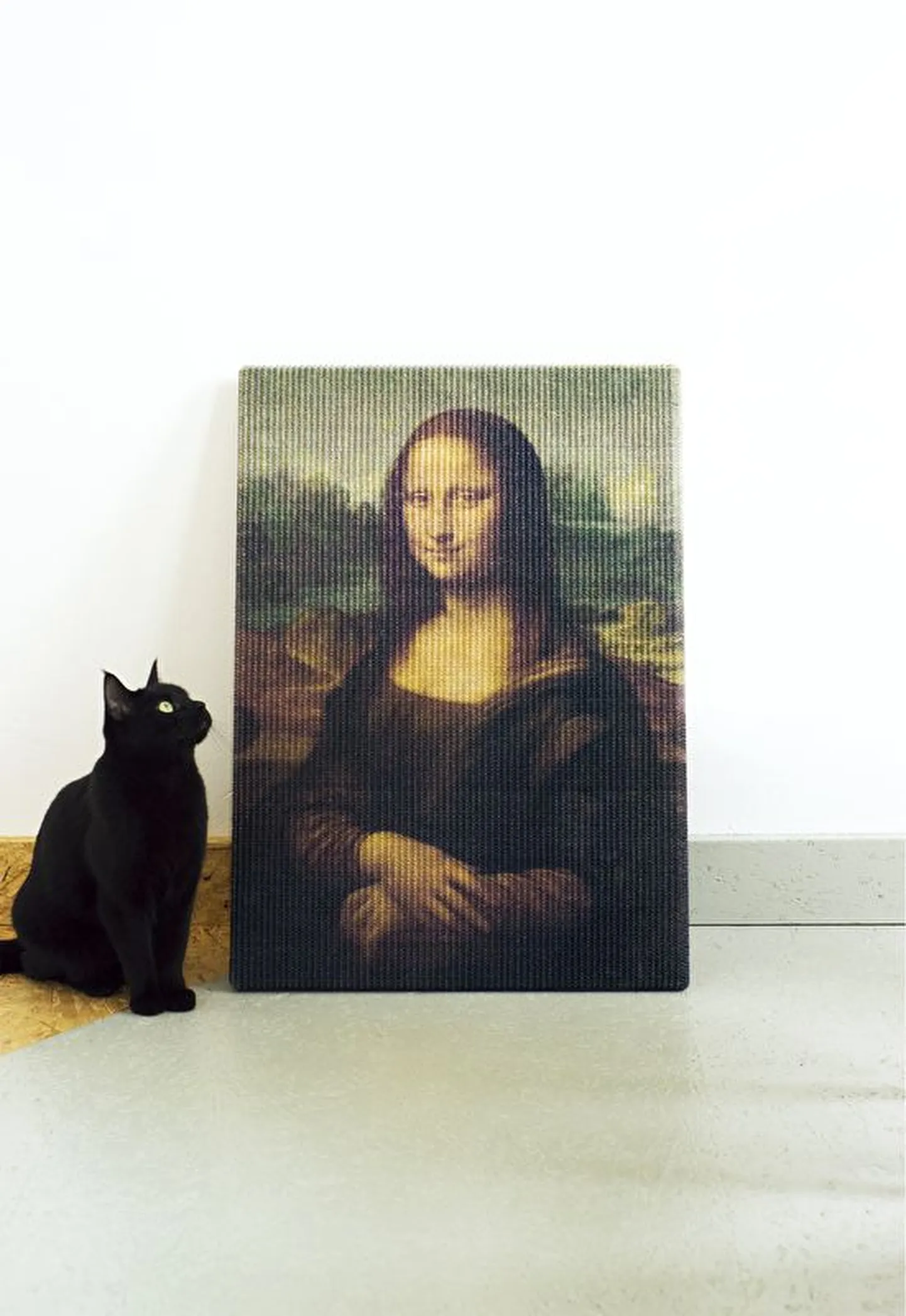 Kunstiteos kraapimislaual.