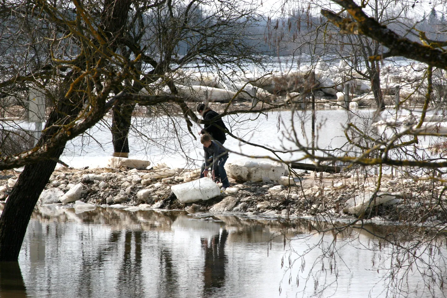 Bērni uz ledus gabaliem Daugavas krastā pie Pļaviņām 2010. gadā.