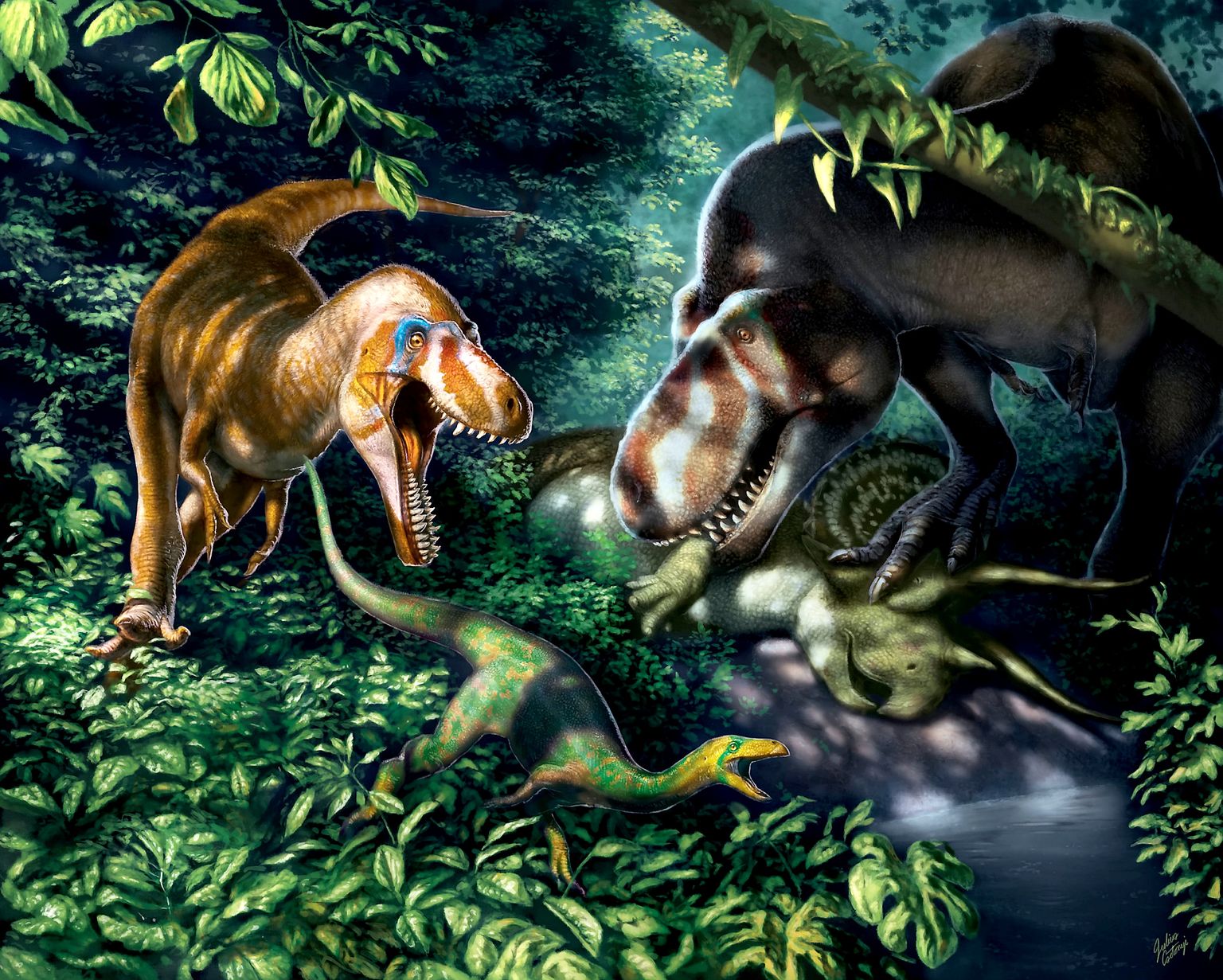 Pilt on illustatiivne. Joonis jäädvustab üldtuntud Tyrannosaurus rexi kahes eas.