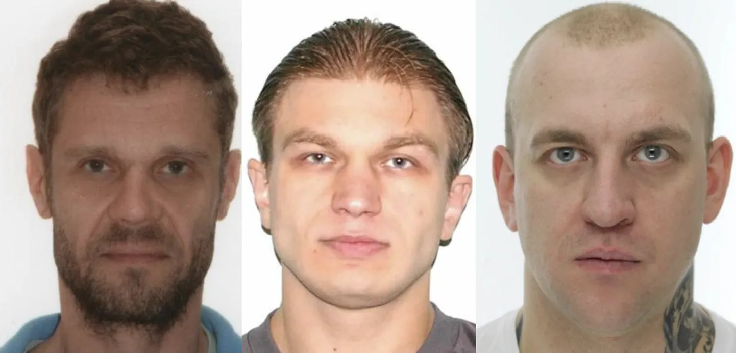 Их разыскивает полиция Эстонии.