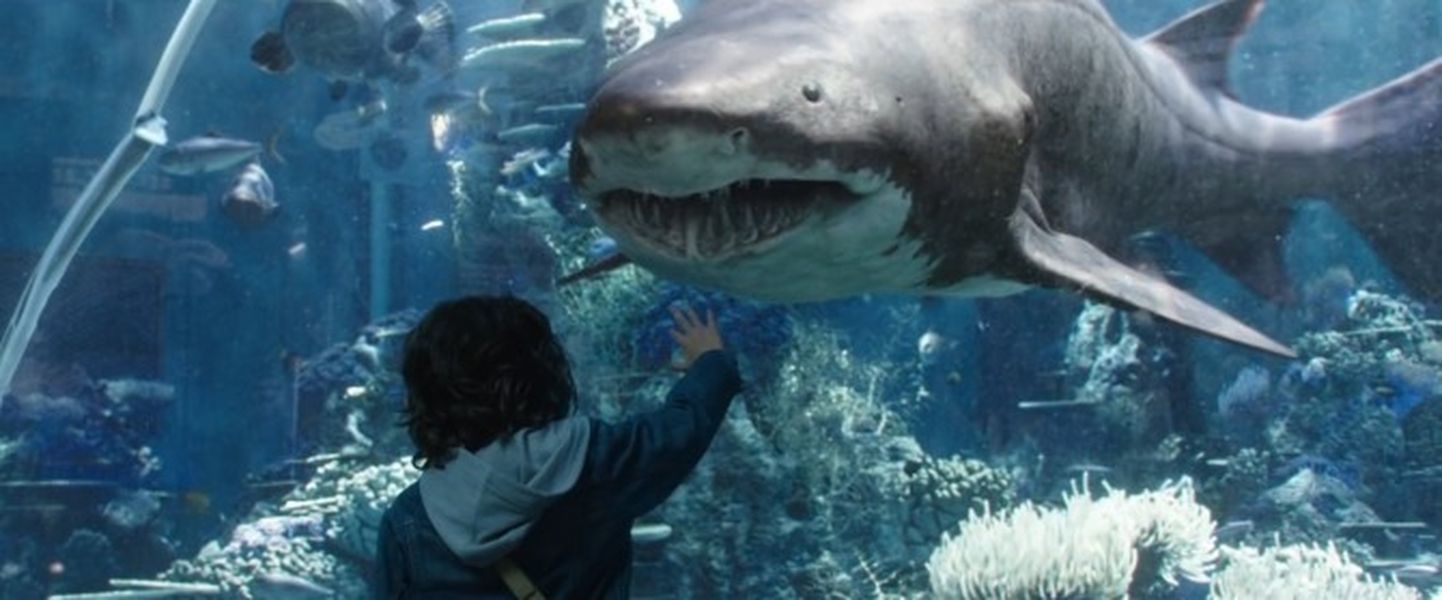 Seiklusfilm “Aquaman” toob ekraanidele üüratu ja visuaalselt hingematva seitsme mere veealuse maailma.