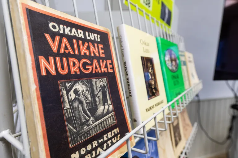 Ühes nurgas on väike metallvarbadest riiul Oskar Lutsu teostega.