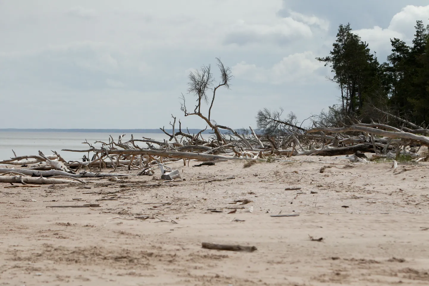 Kolka poolsaar Lätis