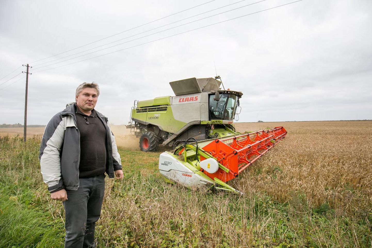 Estonia OÜl sai eelmise nädala kuivade ilmadega koristatud 78 protsenti teraviljast, eile käis veel suvinisu koristus. Kui nüüd annab kaheksa päeva head viljavõtuilma, saab agronoom Tarmo Ivaski kinnitusel  neilgi kogu saak salve.