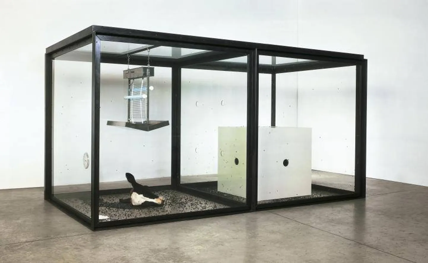 Deimiena Hērsta mākslas instalācija 2012. gadā Londonas mākslas muzejā "Tate Modern".