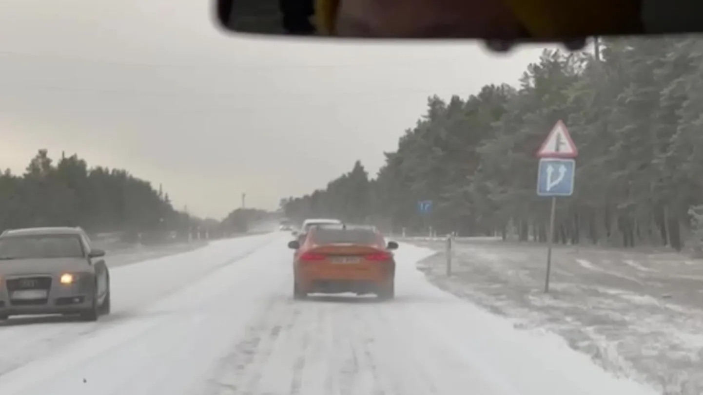 Artikli foto