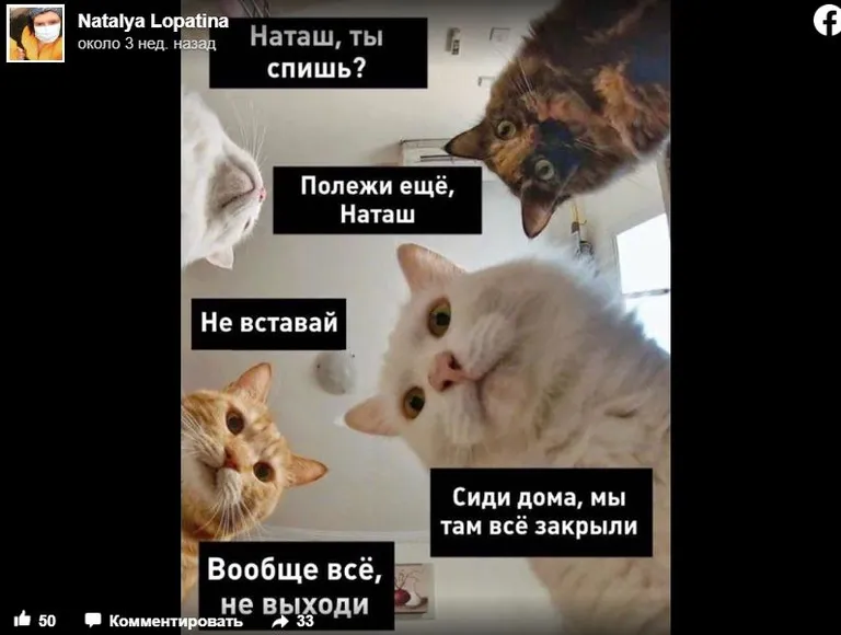 Фото статьи