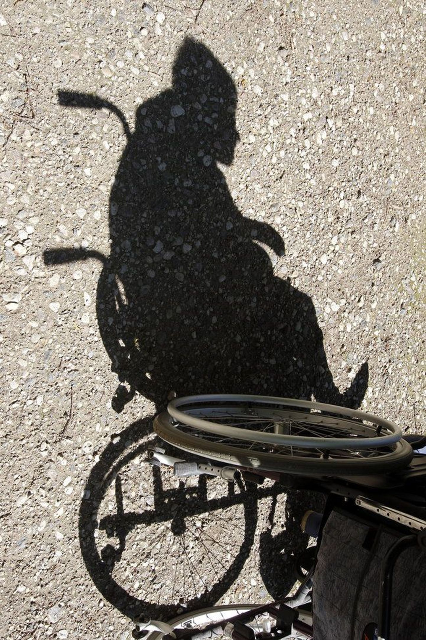 Инвалидная коляска. Иллюстративный снимок.