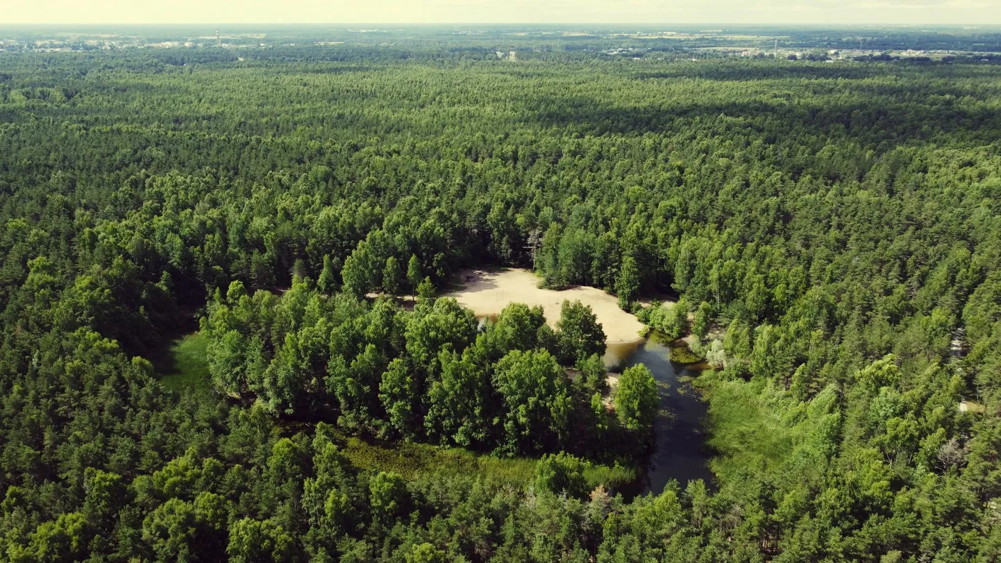 Nimetu järv Harku metsas.