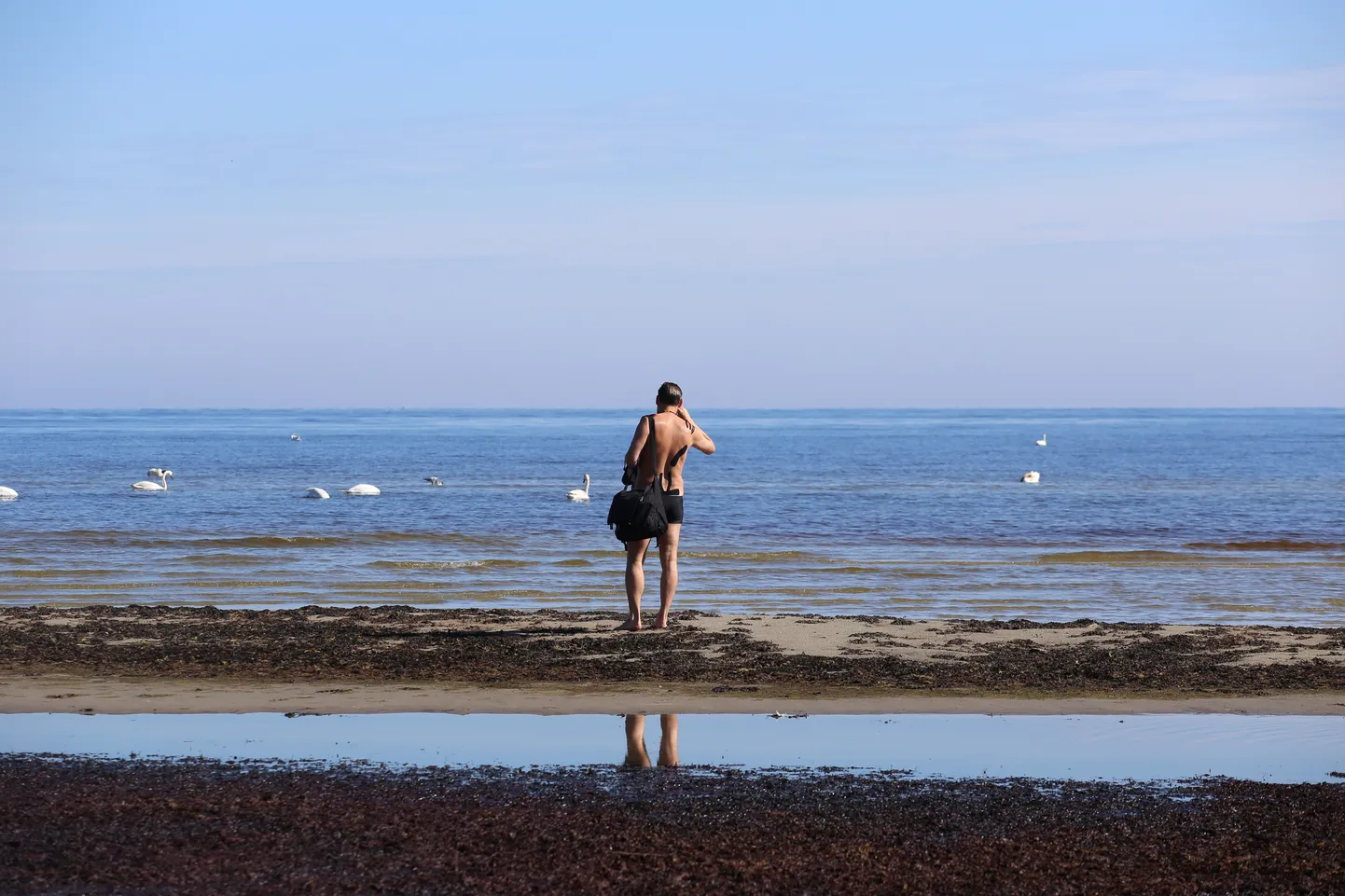 Балтийское море. Иллюстративное фото.