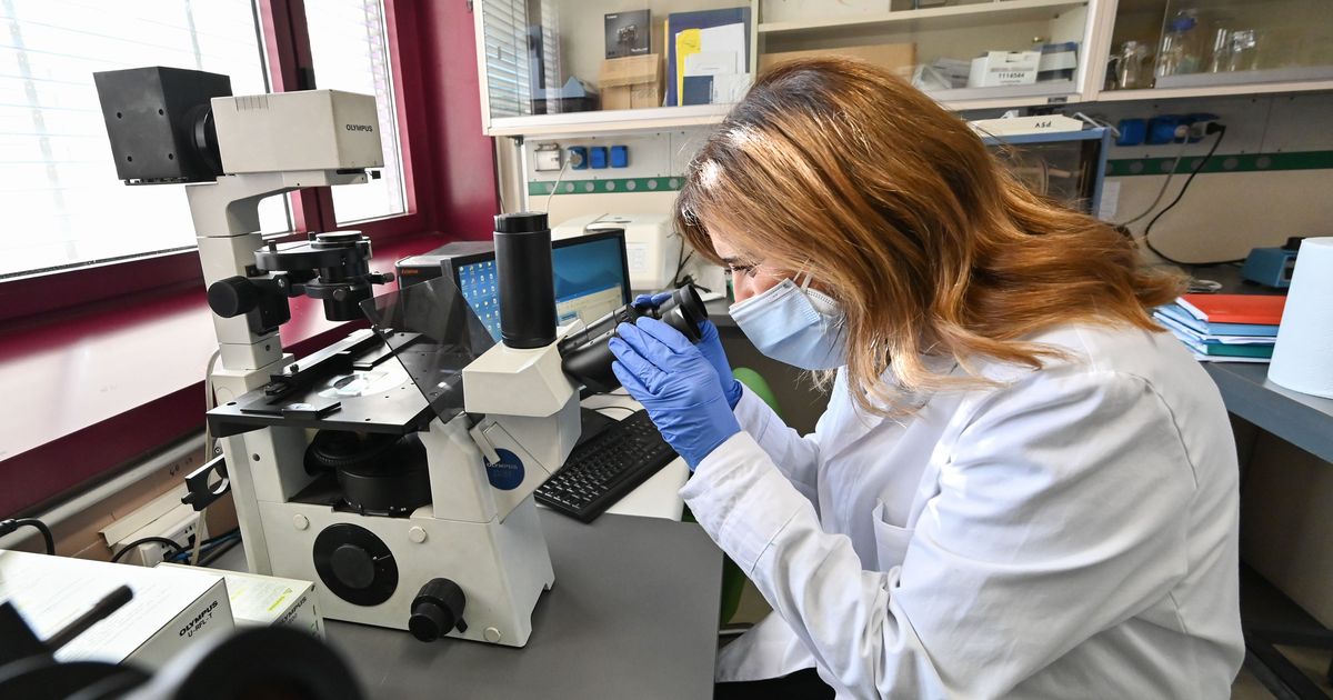 uute vähijuhtude arv kasvab 2050. aastaks 77 protsendi võrra