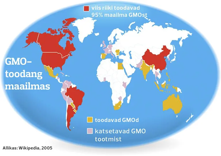 GMO