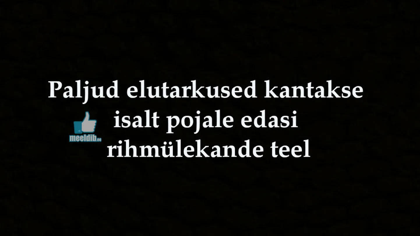 Artikli foto