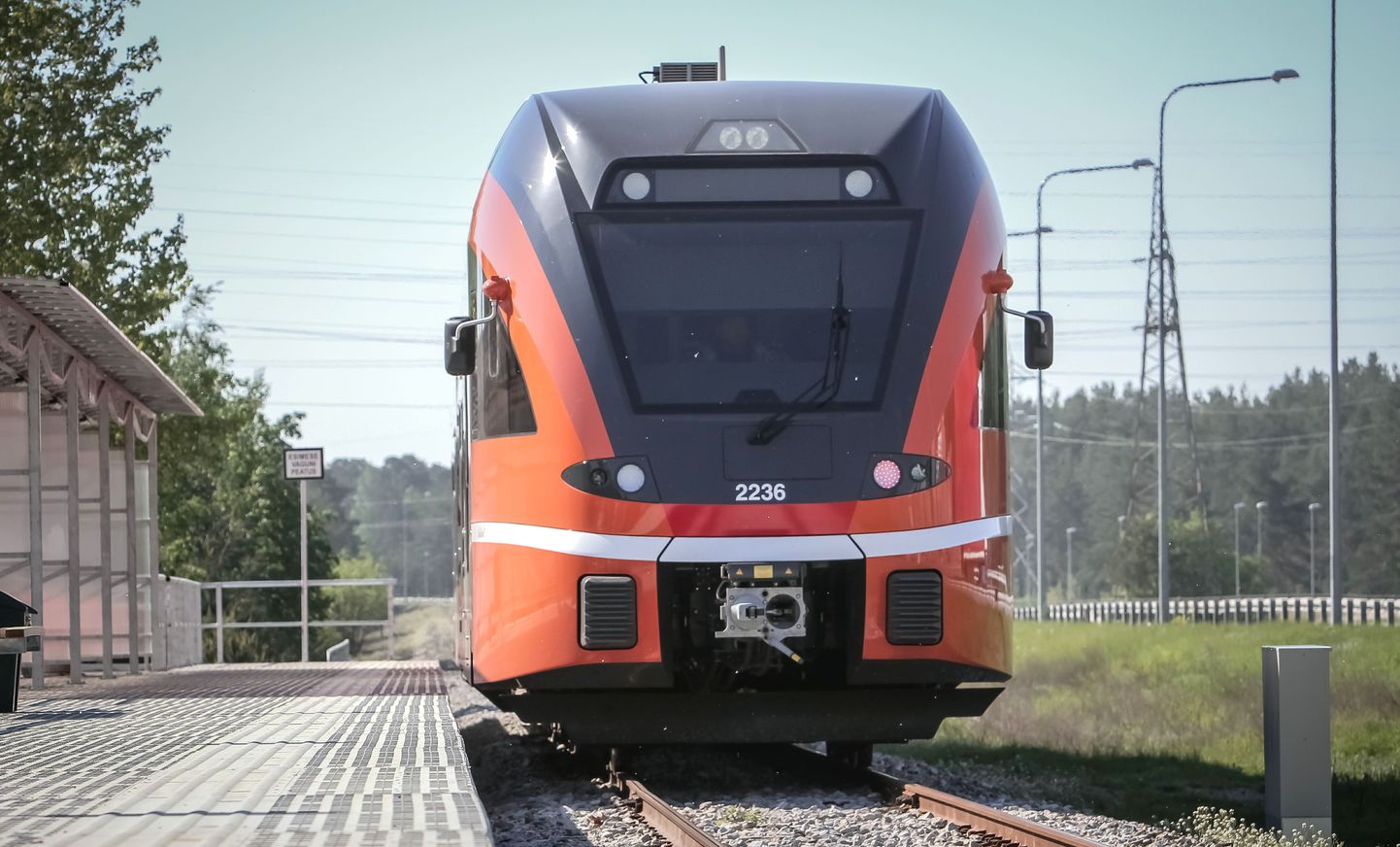 Rong Pärnus.
