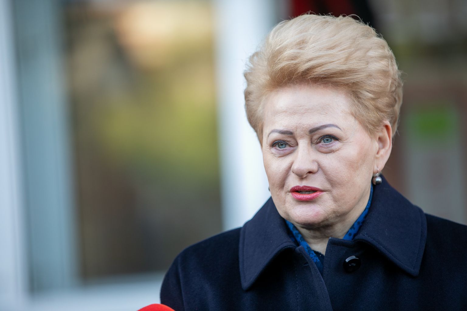 Leedu endine president Dalia Grybauskaitė.