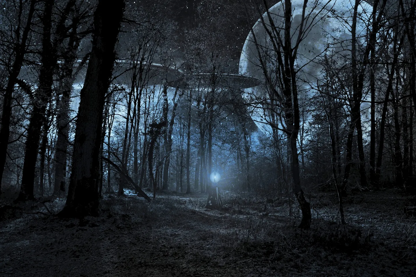 Unes või ilmsi? Kui enamik UFO-vaatlusi oleks täielik jama, siis ei joonistuks välja mingeid geograafilisi mustreid, leidsid teadlased. Samas ei välista nad, et mõned vaatlused võivad ka täielik jama olla. Pilt on illustreeriv.