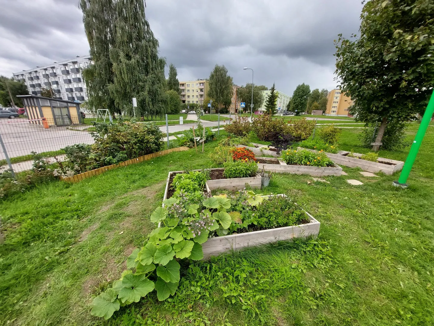 Tartu Lotte lasteaia kastpeenrad