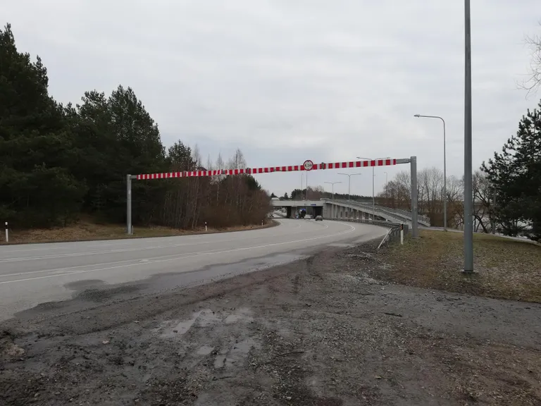 Papiniidu silla kõrguspiire suunaga Tammiste poole.