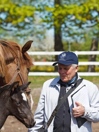 Raigo Kollom on omaaegne ratsasportlane, hiljem treener, Eesti meister 1960, Eesti Hobusekasvatajate Seltsi juhatuse liige 1992-2000, Eesti Sporthobuste Kasvatajate Seltsi üks asutajatest, arvukate ratsaspordi- ja hobusekasvatuse teemaliste artiklite ja raamatute autor.