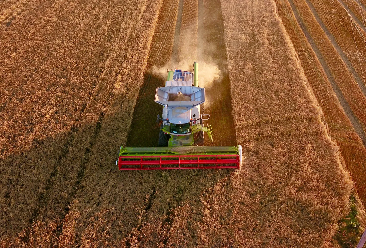 Suurem rahavajadus on alles ees, sest põllumajandusettevõtjad on enamuse kohustustest ajatanud novembrisse-detsembrisse ning enne kevadkülve on vaja hakata varuma väetist ja seemet, mille ostuks on osadel tootjatel samuti vaja laenu võtta.