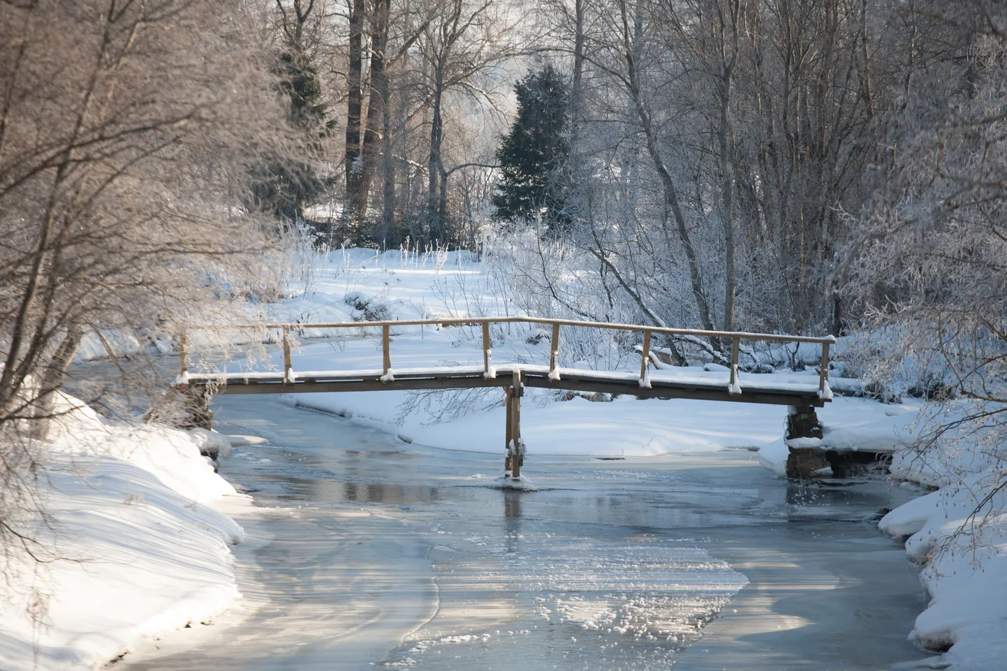 Varakevadine loodus.