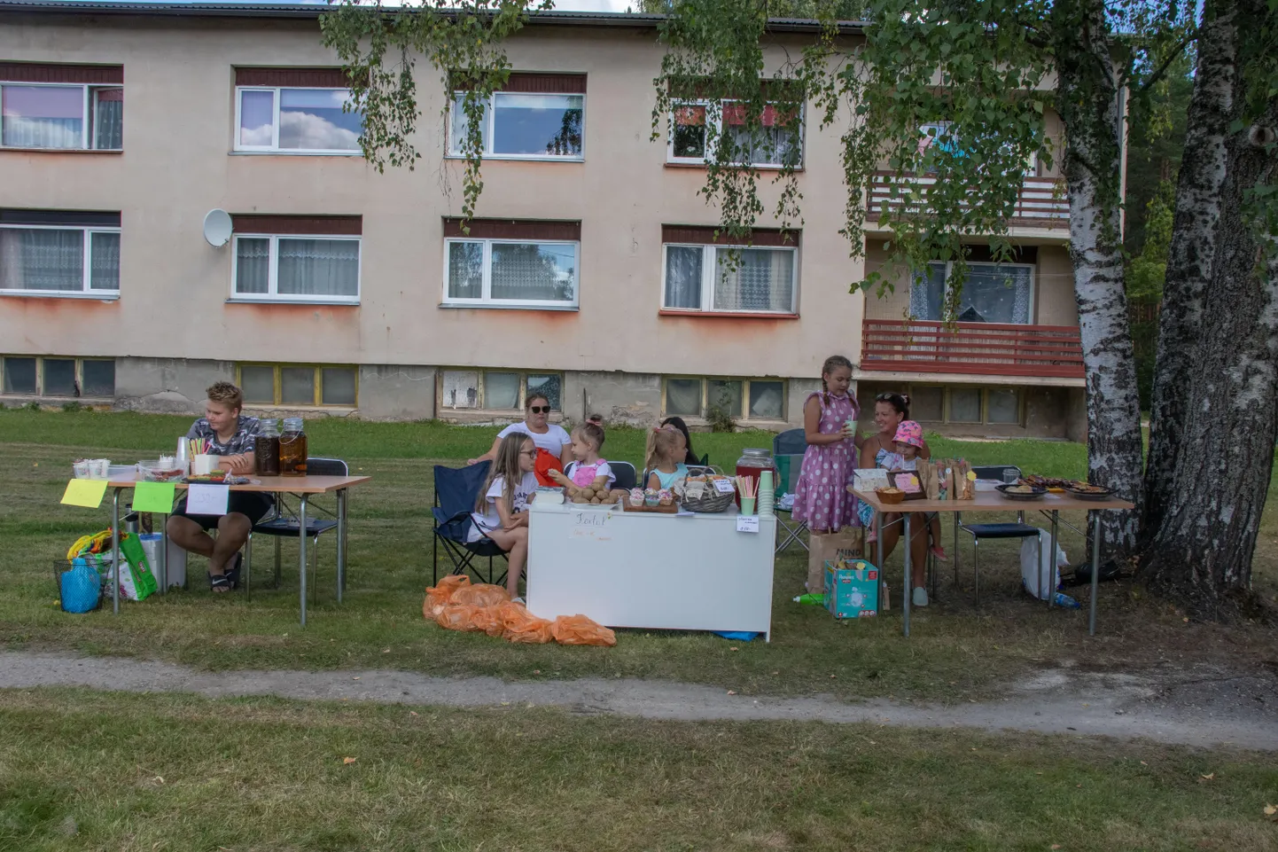 Värskas peeti kortermajade päeva