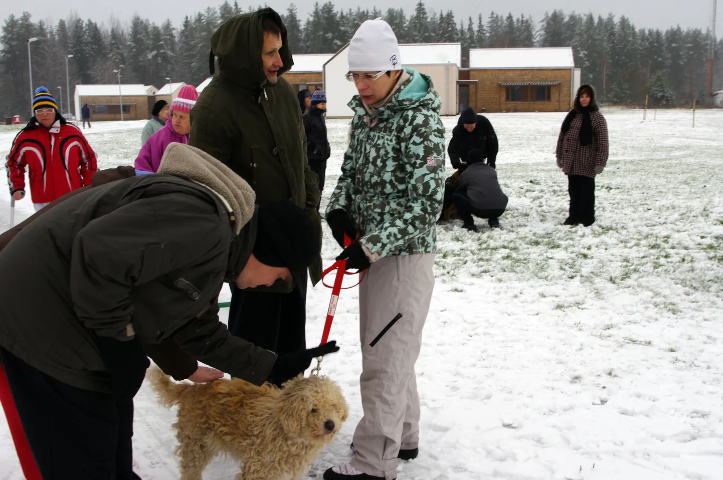 Sõbralik koer Chappy võitis kohe kõigi südamed.