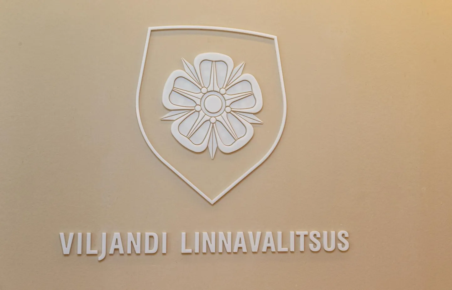 Viljandi linnavalitsus andis välja üheksa 1000-eurost kõrghariduse aastastipendiumi.