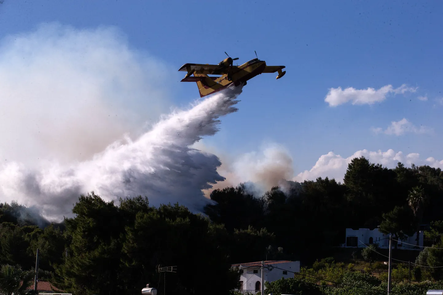 Tuletõrjelennuk Ateena lähedal suurt metsapõlengut kustutamas.