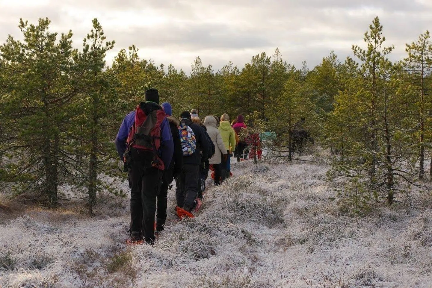 Räätsad on Eestis soodes liikumise abivahendina kasutusel olnud sajandeid.