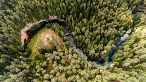 Maasturite seiklus Ahja jõel lõppes veehukuga