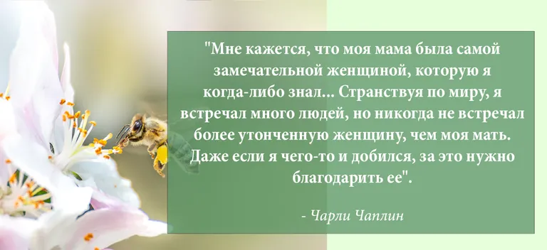 Фото статьи