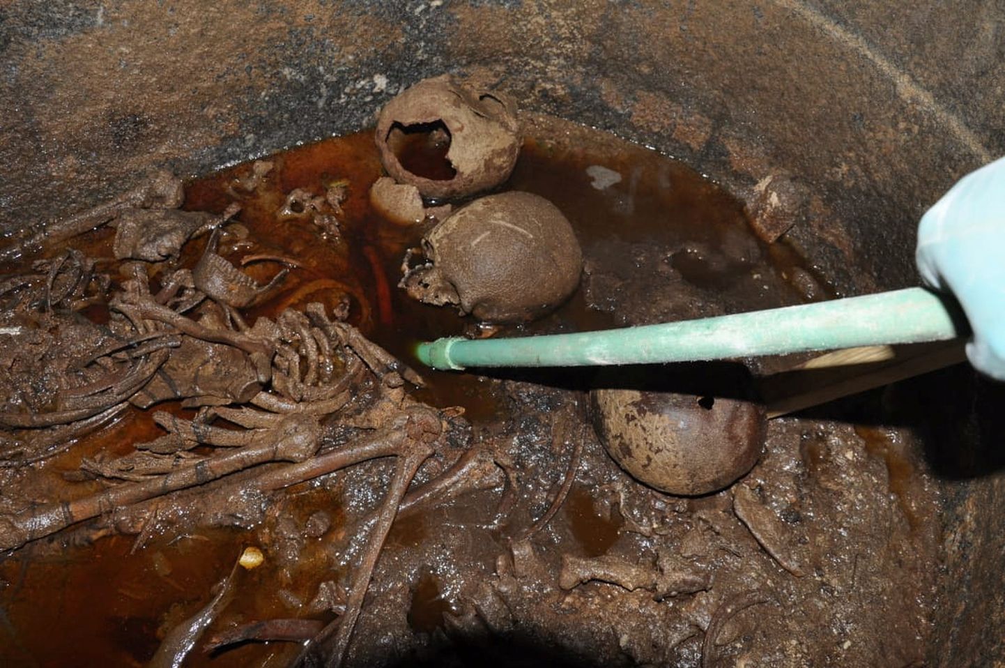 Egiptusest Aleksandriast leitud sarkofaagis oli punakas vedelikus kolme inimese luustik
