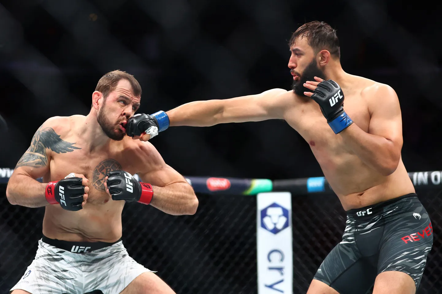 Nikita Krõlov ja Dominick Reyes.
