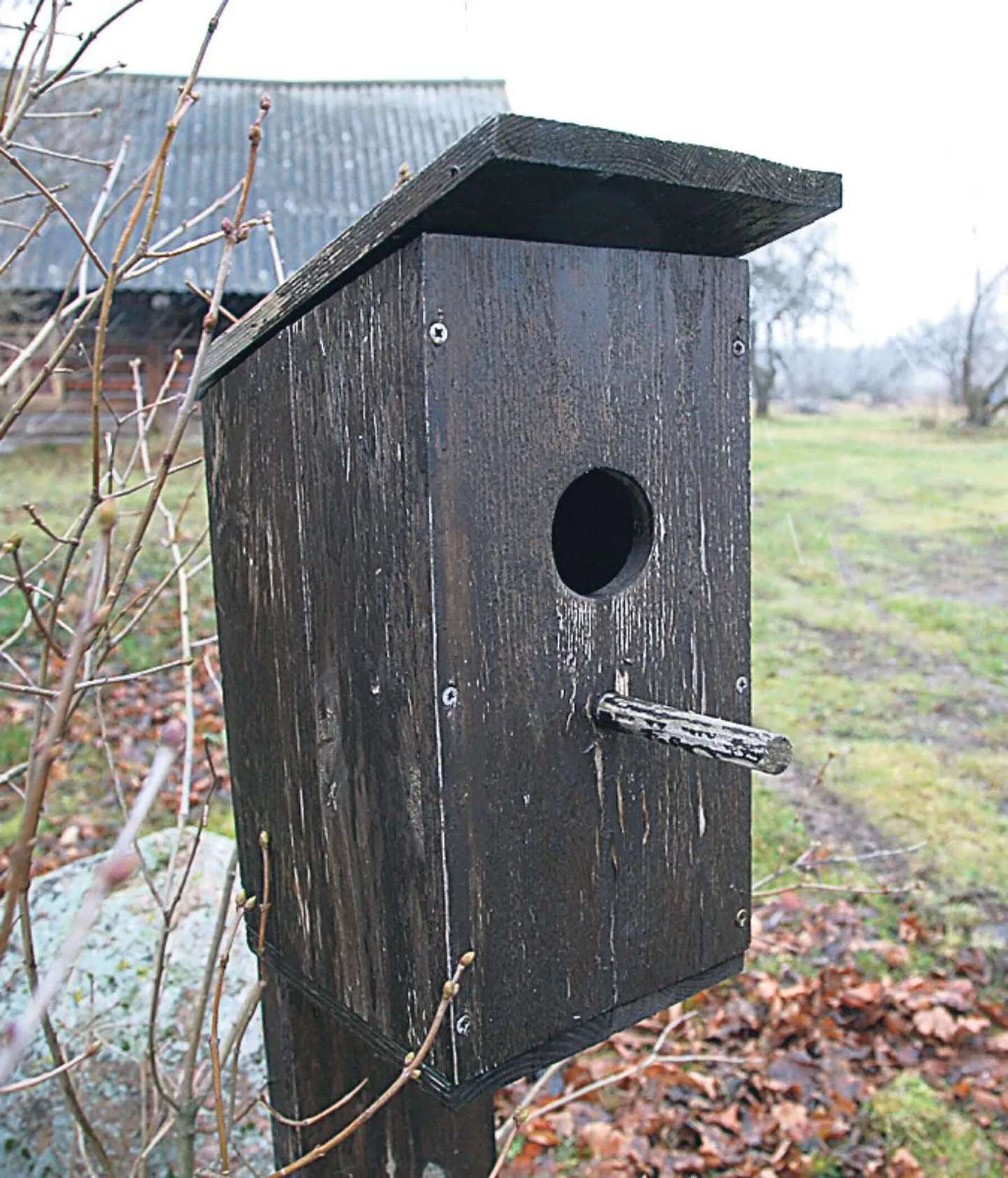 Pärnu Postimehe fotograafi objektiivi ette on aja jooksul jäänud väga palju omanäolisi postkaste.