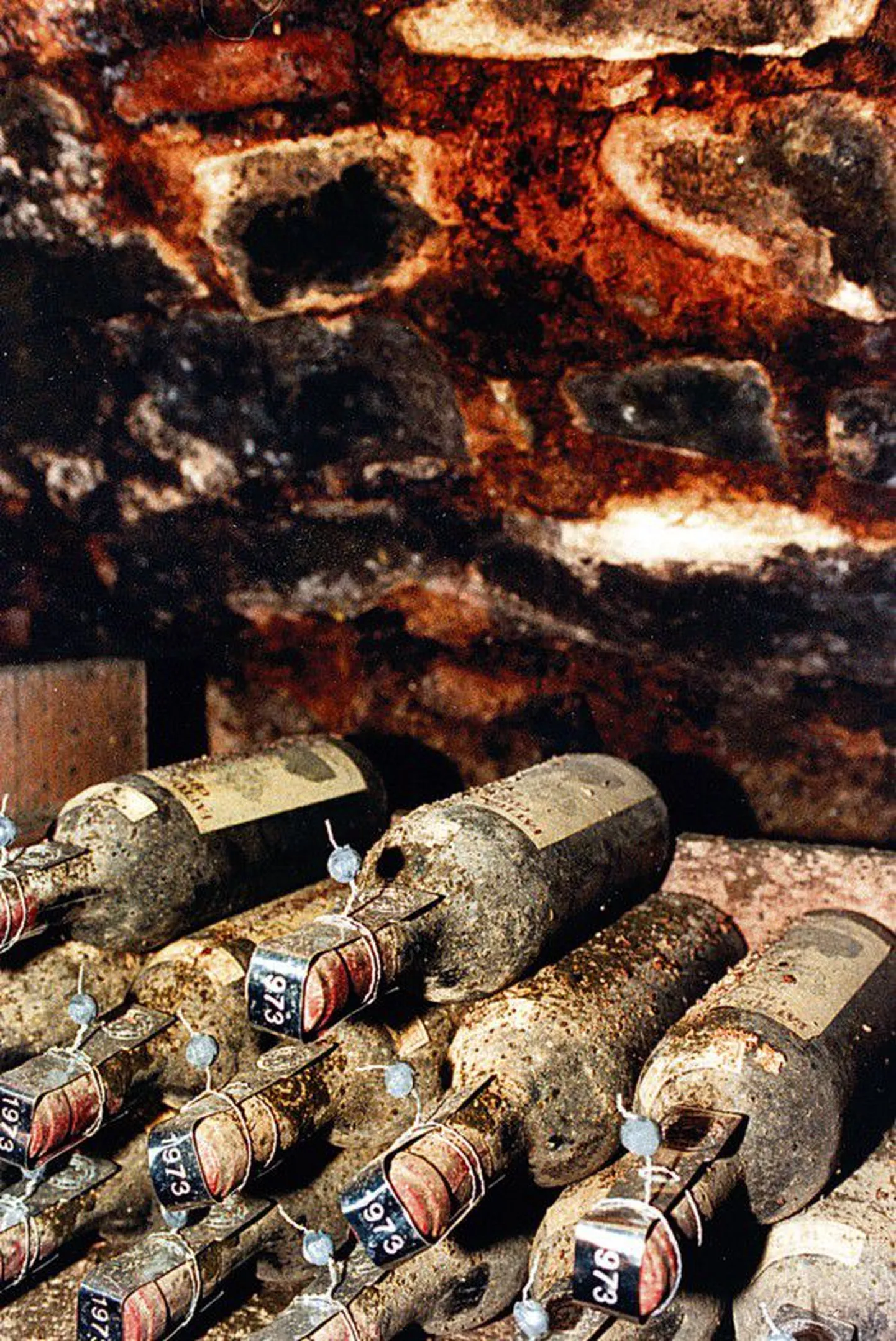 Pilk Querceto kindluse keldrisse: pudelitele ladestunud sodi võib julgelt nimetada kultuurikihiks.