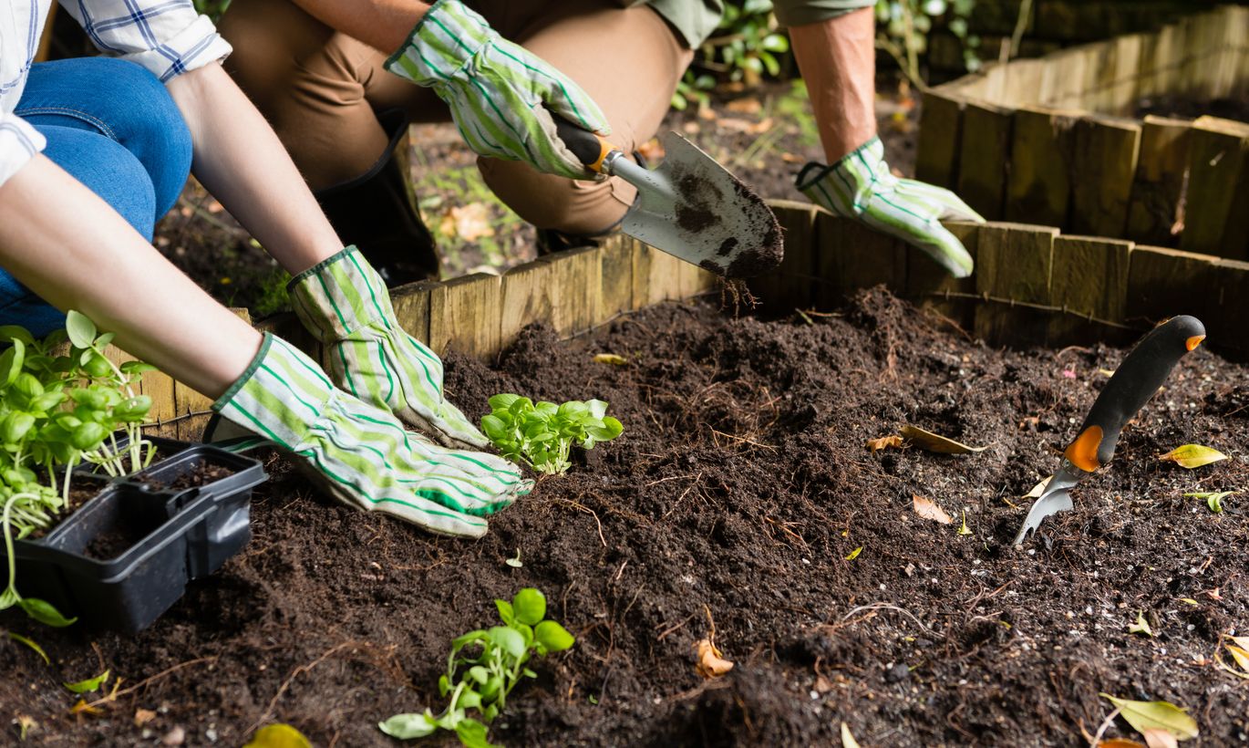 Лунный календарь садовода и огородника на август 2018 года