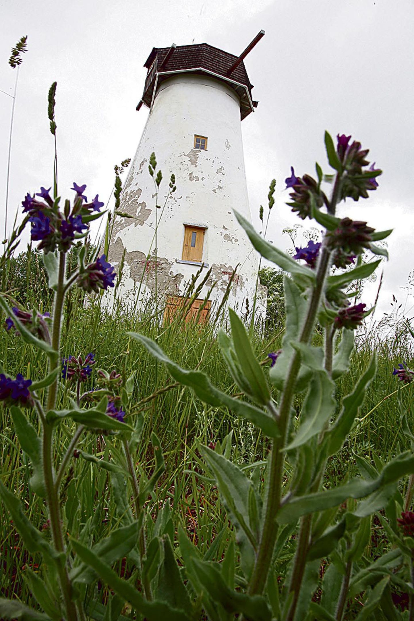 Hollandi tüüpi Pootsi tuulik on kantud kultuurimälestiste riiklikku registrisse 1998. aastal ja seda hakati taastama 2002. aastal.