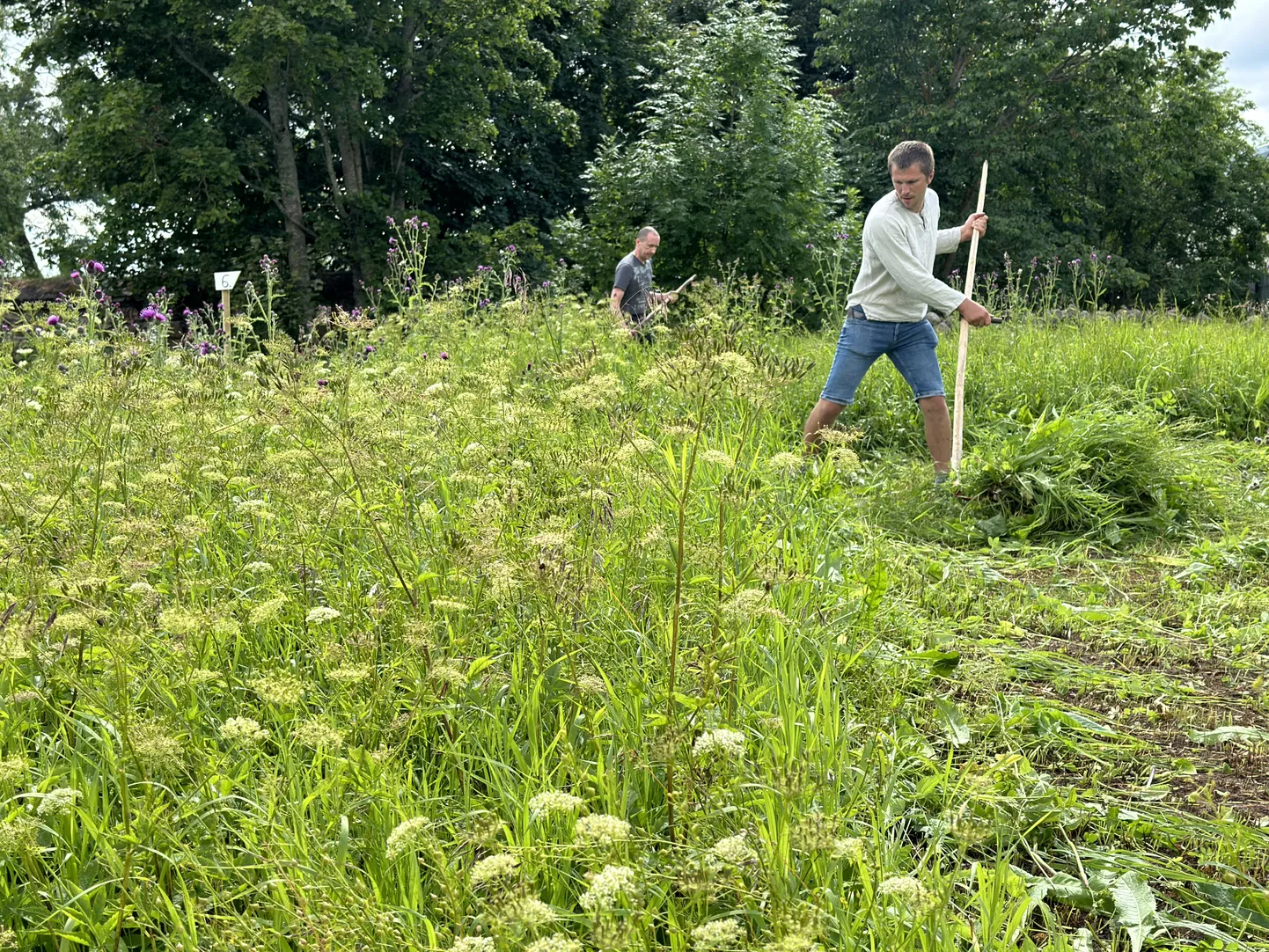 Meeste arvestuses võitnud Peeter Tuusis finaalis, taamal II kohale tulnud Viktor Oštšepkov.