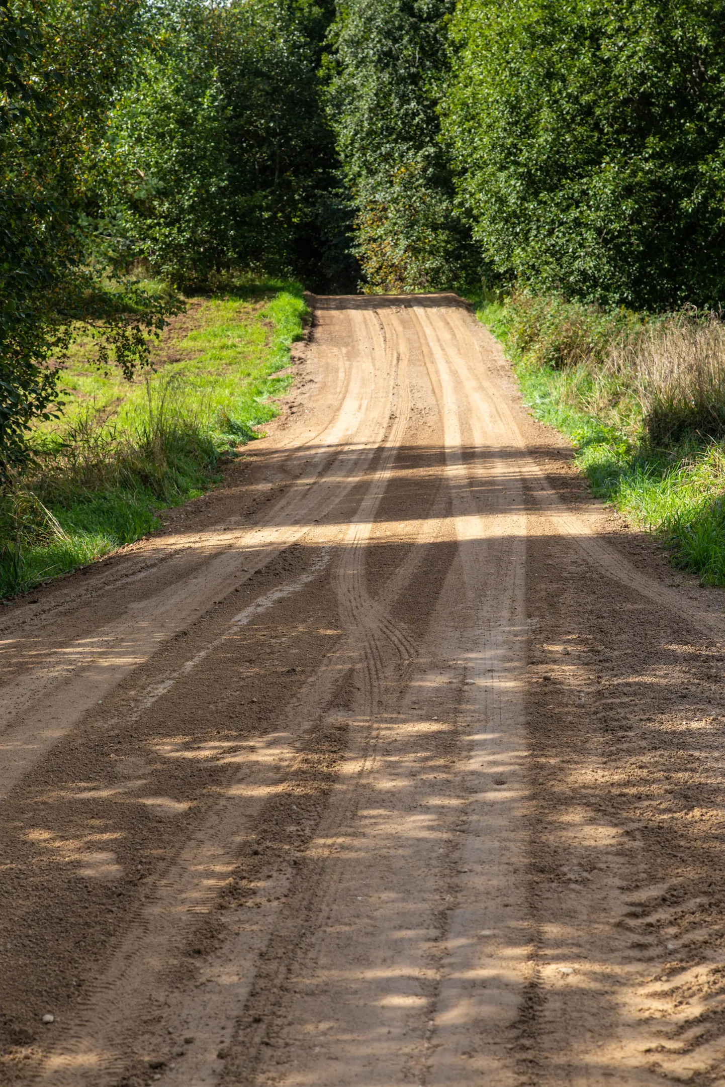 Kooraste kandi teedel on kihutanud ka ralliautod. Fotomeenutus tee seisukorrast pärast Kaagvere kiiruskatset.