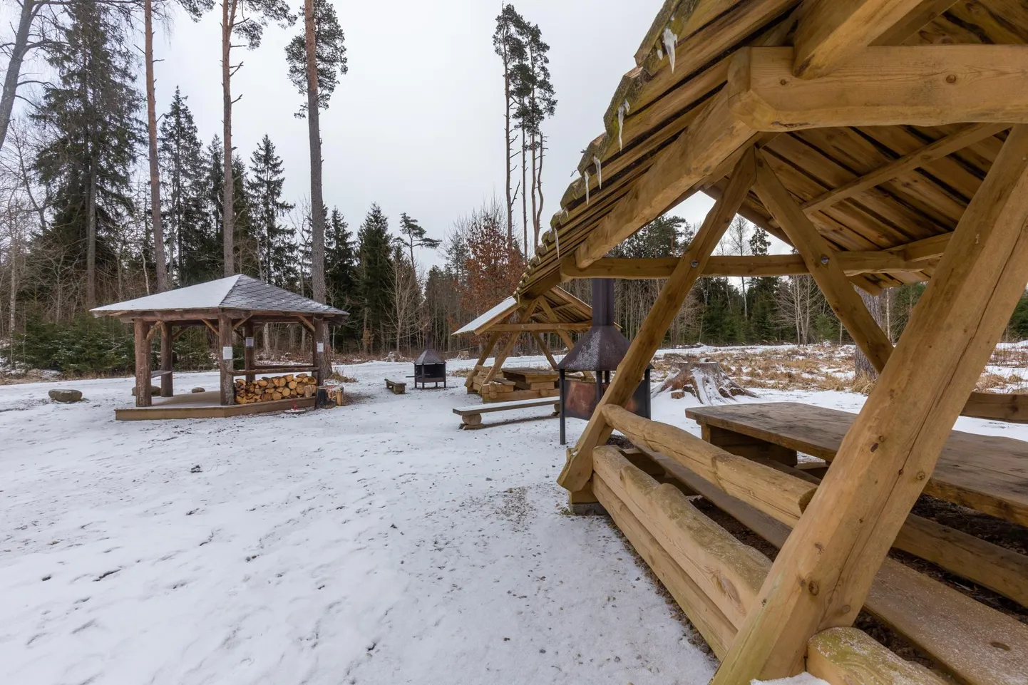 Riigimetsa majandamise keskus on teiste seas sihikule võtnud ka Lõhavere linnuse juures oleva 1,2 hektari suuruse metsariba. Pildil on linnuse juures olev puhkeala.