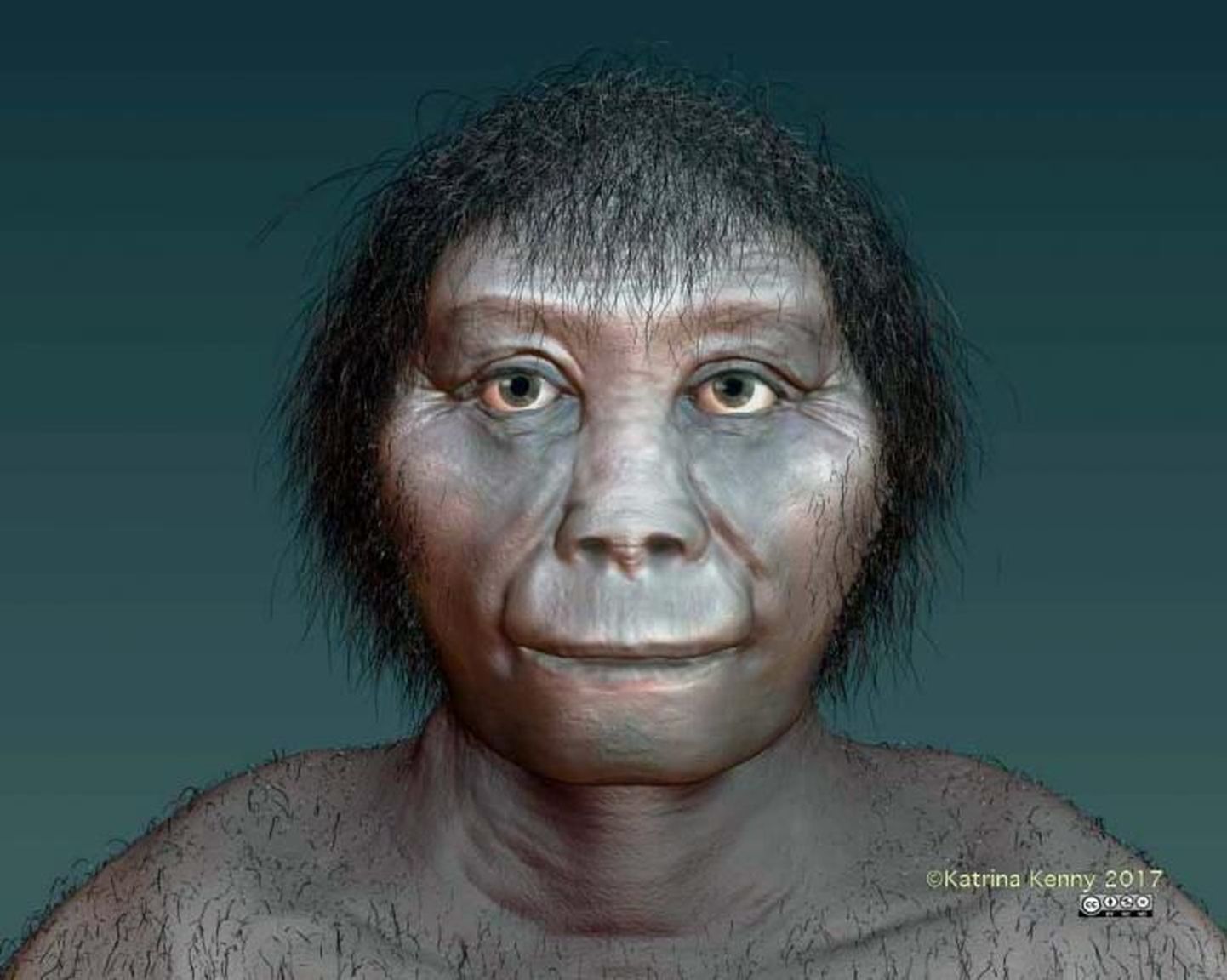 Kääbikuna tuntud Homo florensiensis