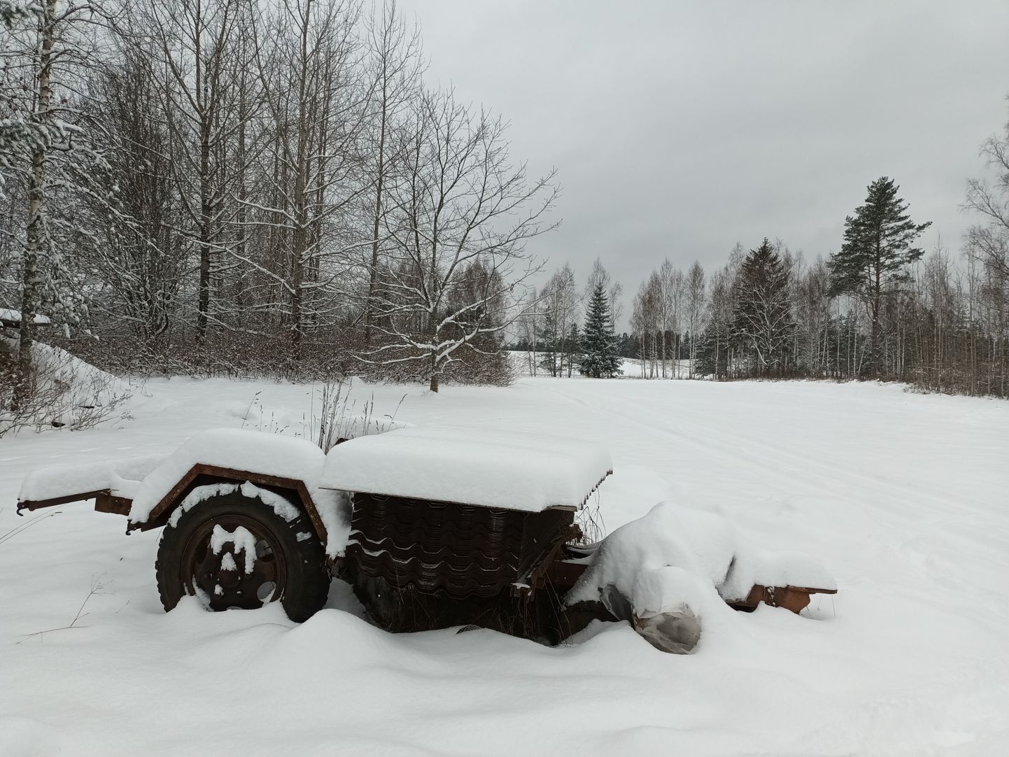 Lõuna-Eestis on maas paks lumevaip.