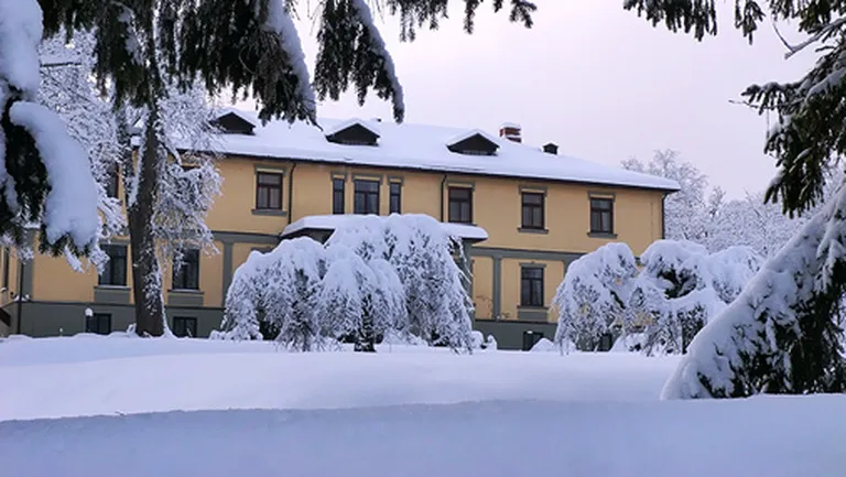 Raksta foto