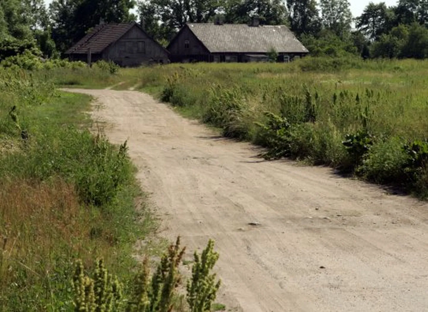 Raksta foto