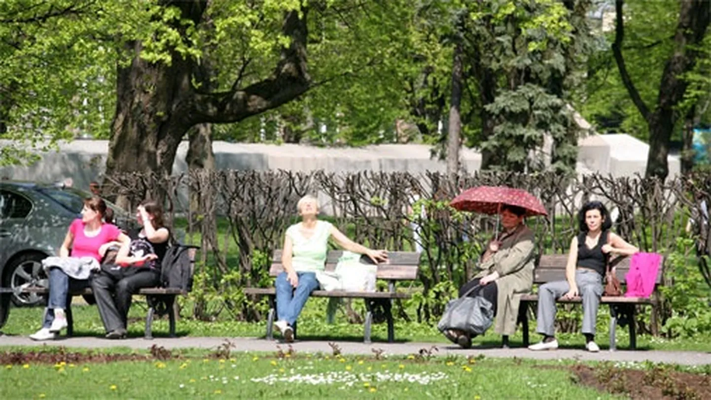 Raksta foto