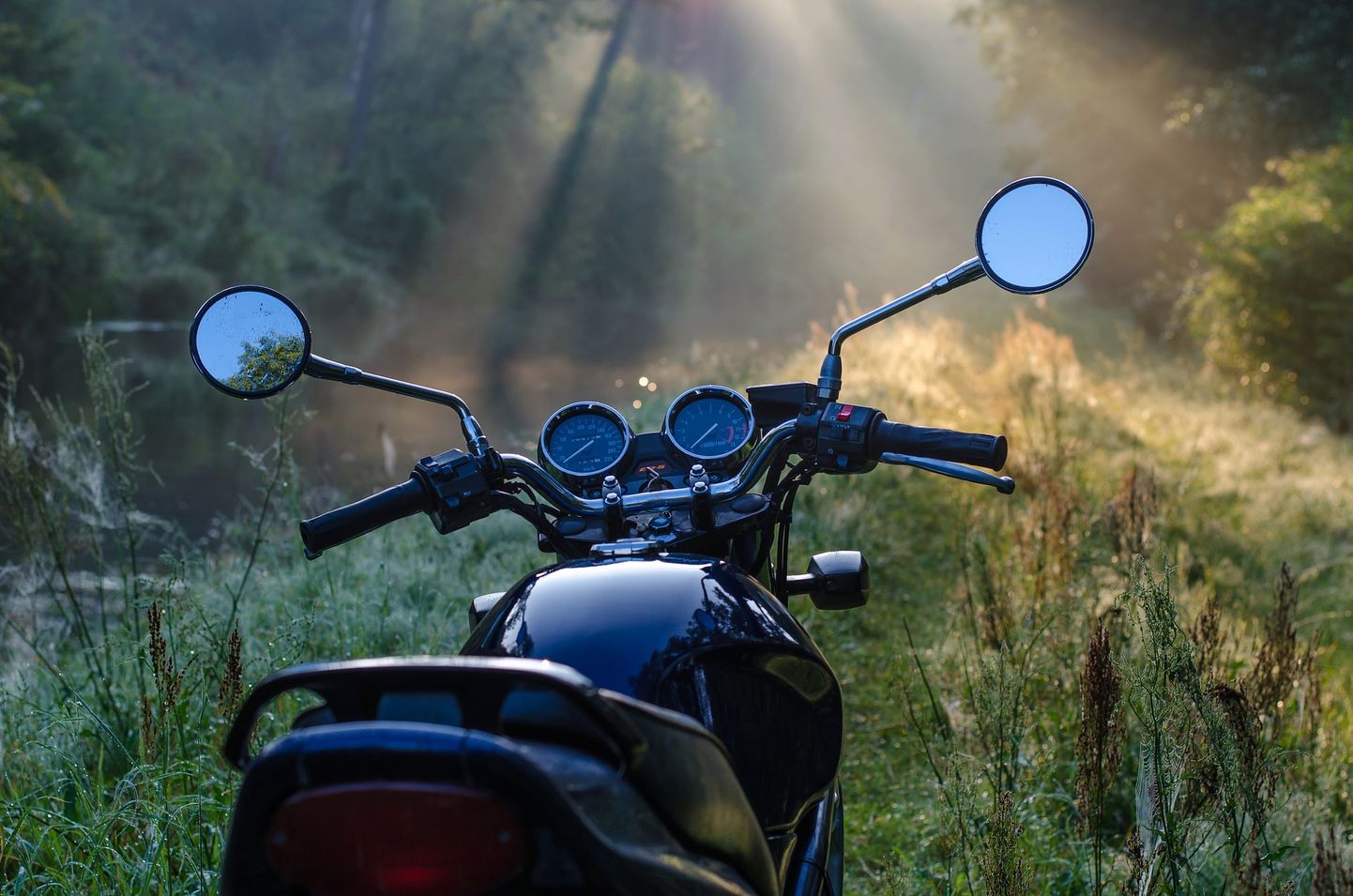 Мотоцикл в лесу. Иллюстративное фото