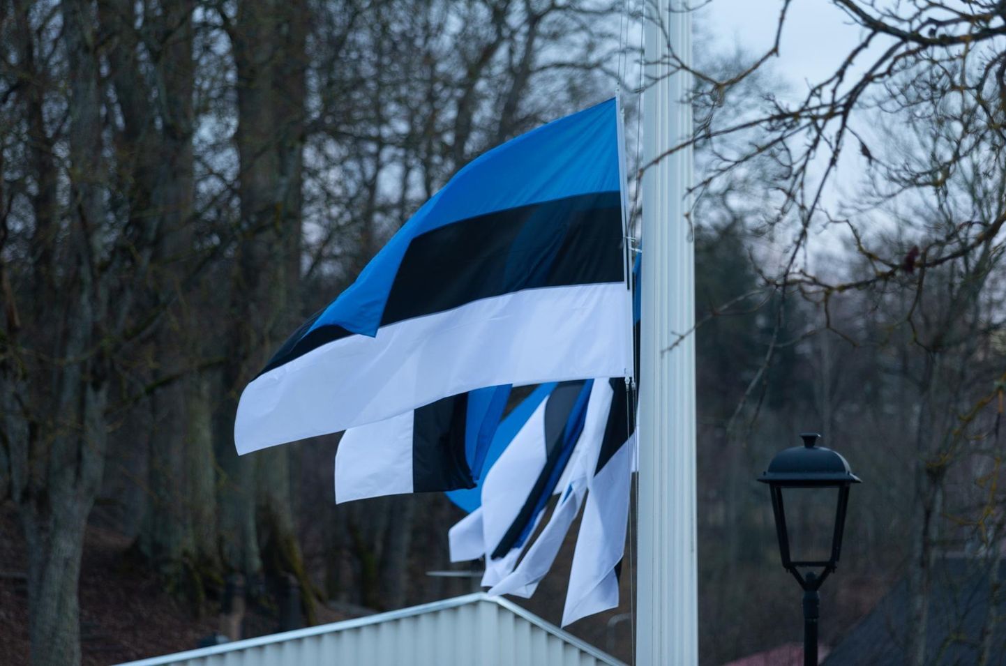 Eesti riigilipp