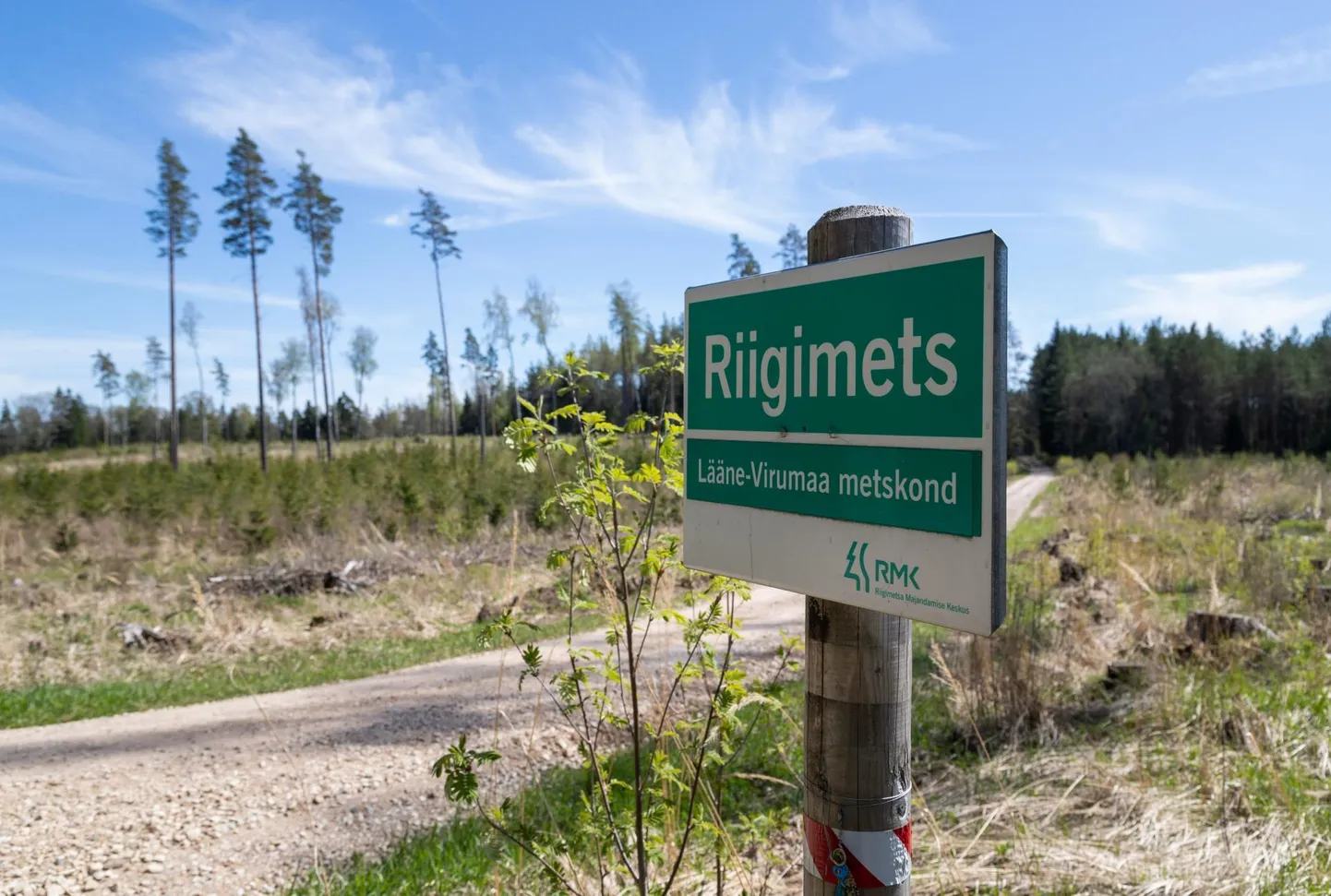 Stockholmi keskkonnainstituudi Tallinna keskuse uuring (SEI) leidis, et jätkusuutlik raiemaht oleks Eestis kaheksa miljonit tihumeetrit aastas