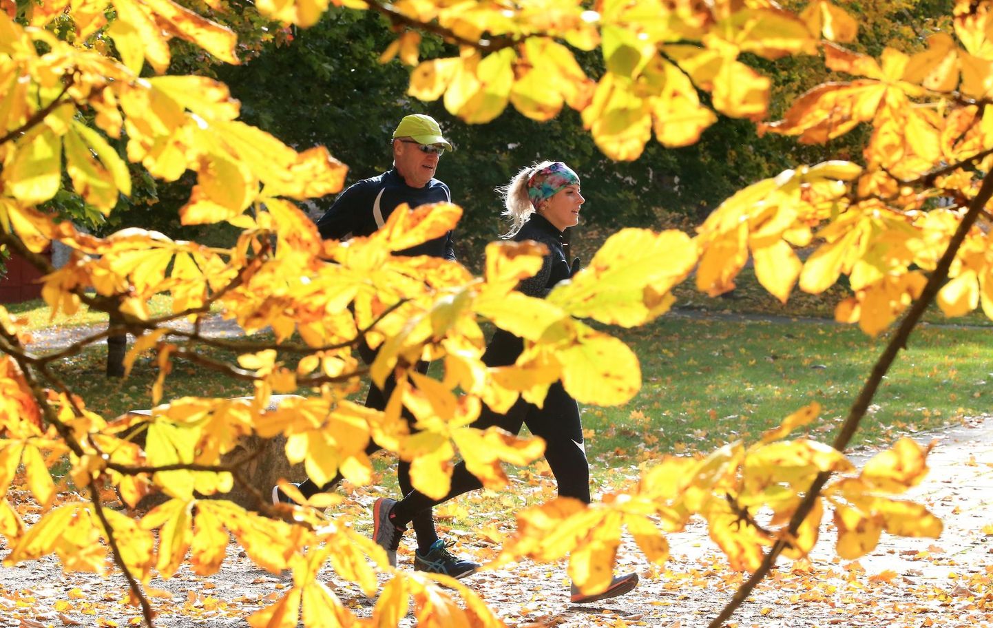 Diabeedipäeva jooks algab Tähtvere spordipargis 14. novembril kell 12.